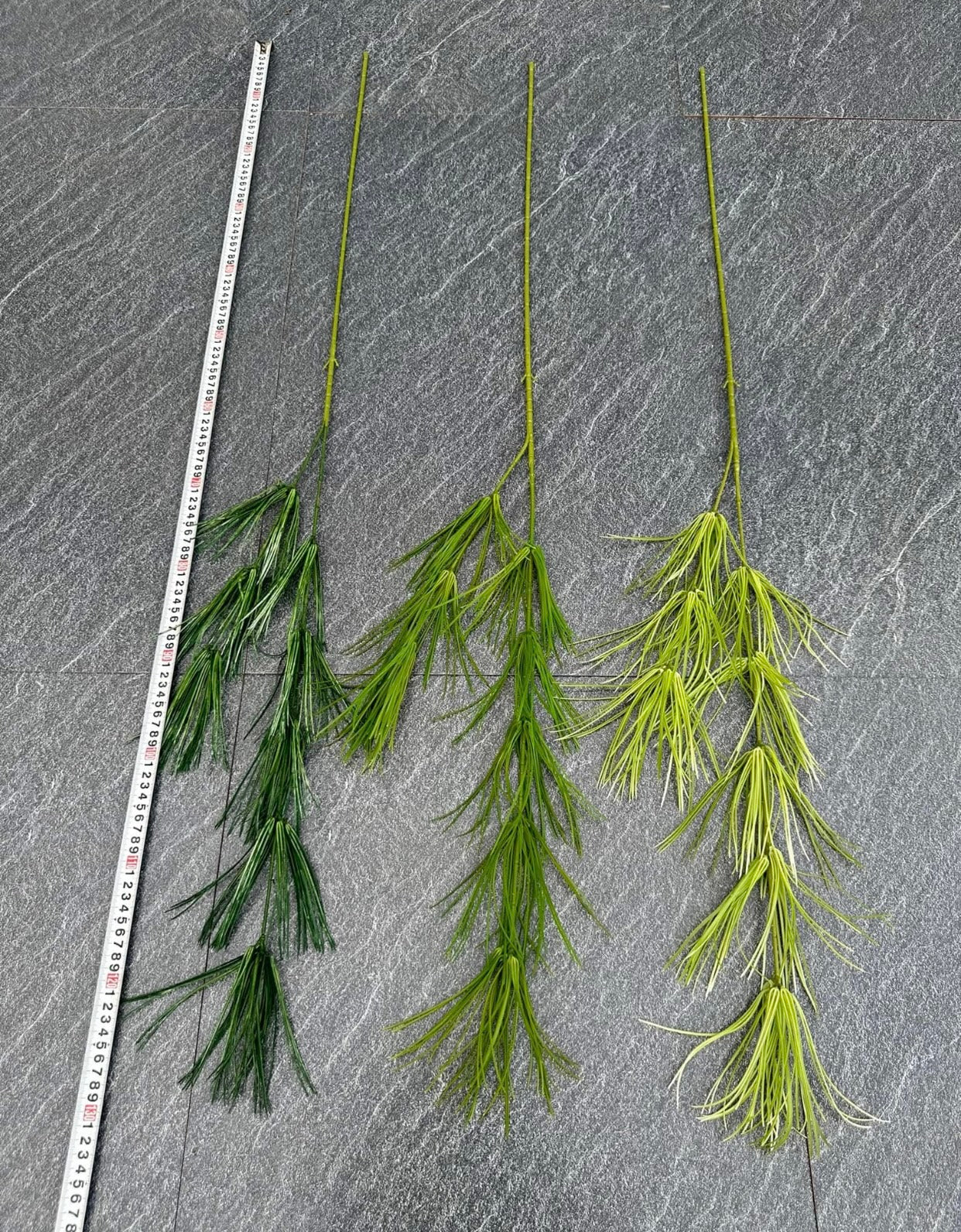 ZBL021 - Leaves & Grass