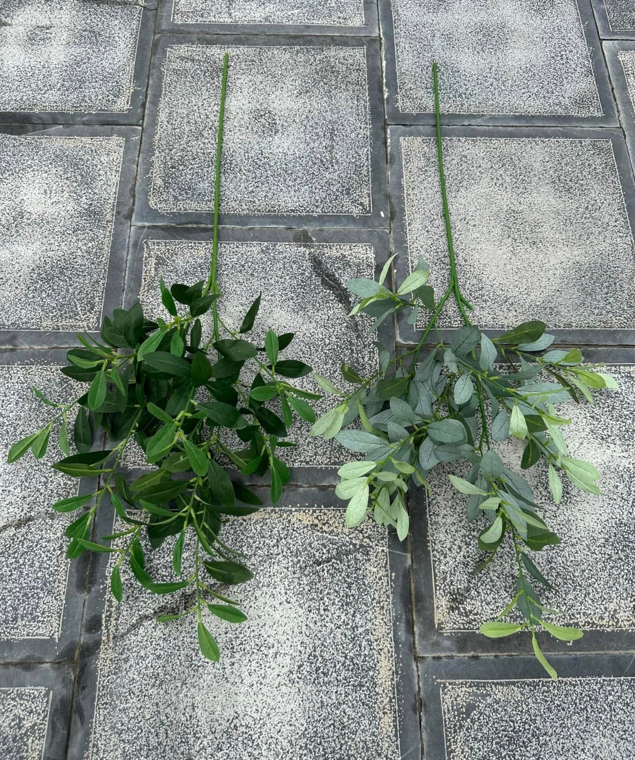 ZBL021 - Leaves & Grass