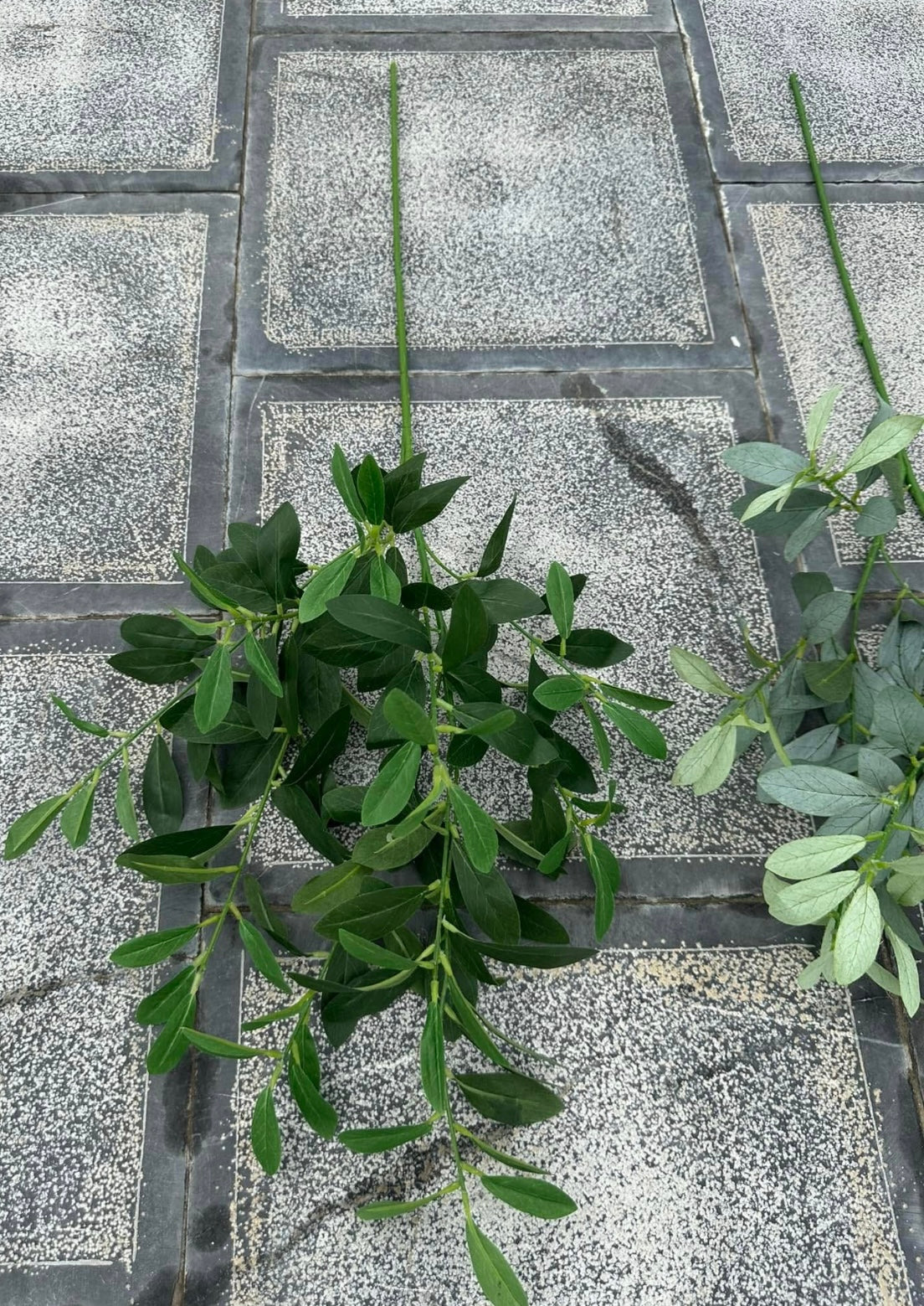 ZBL021 - Leaves & Grass