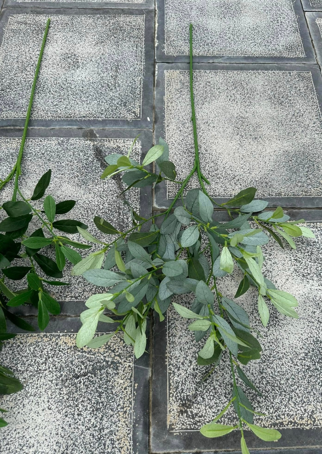 ZBL021 - Leaves & Grass