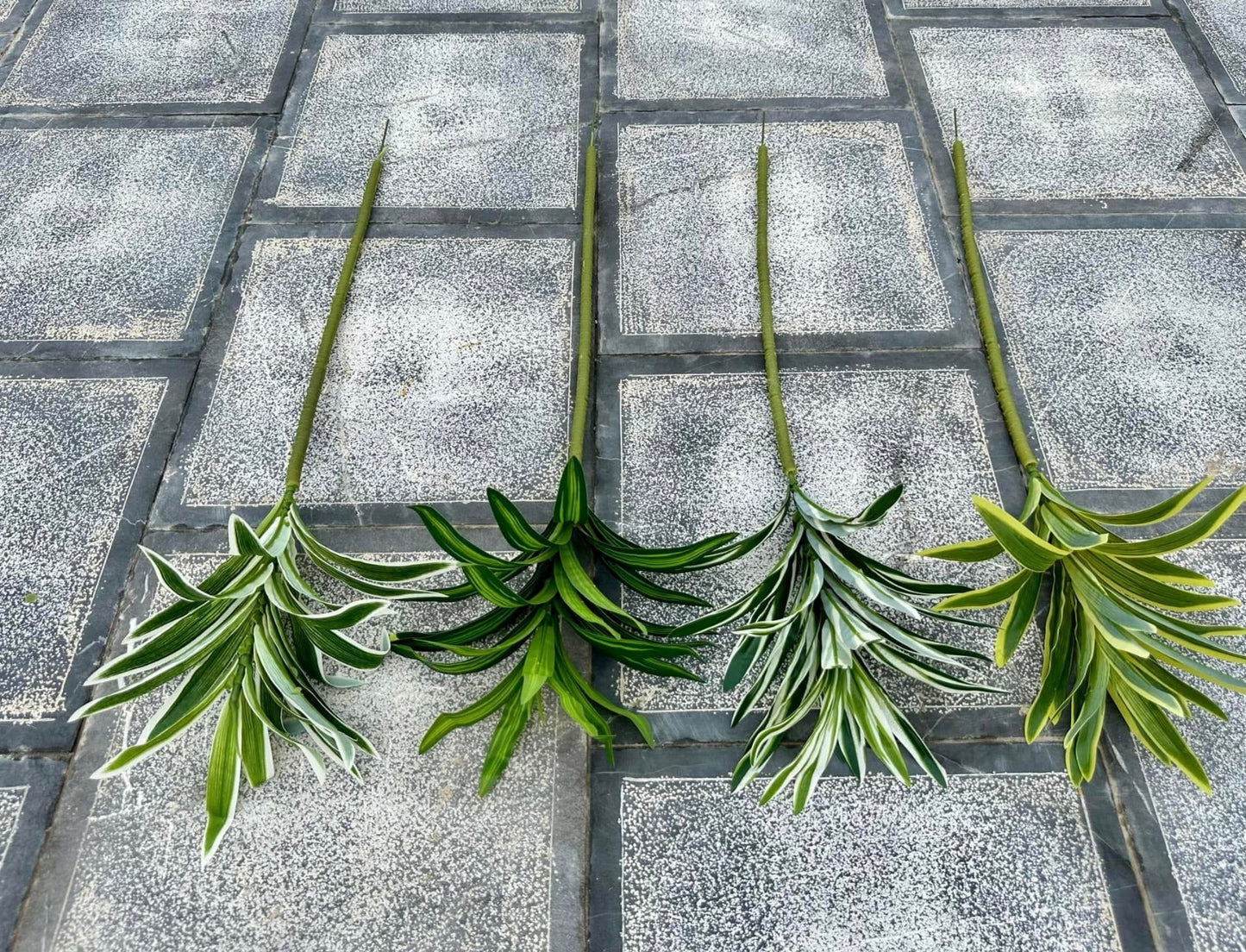 ZBL021 - Leaves & Grass