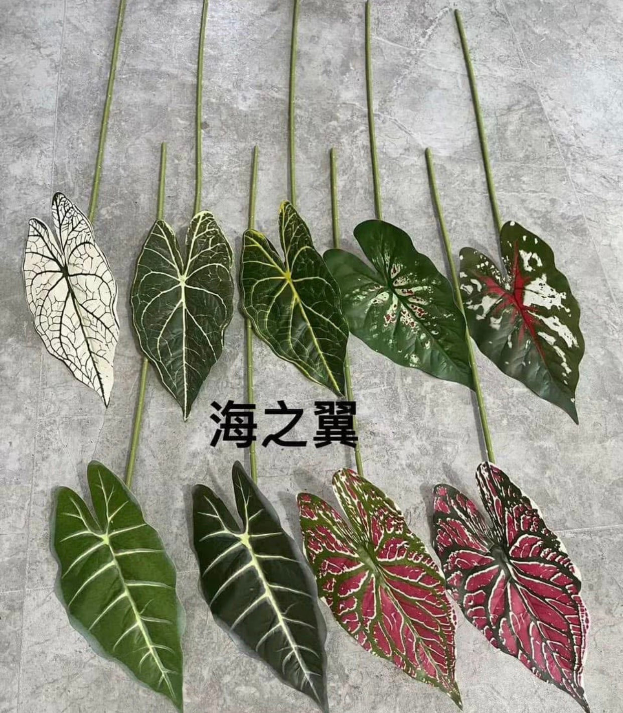 ZBL021 - Leaves & Grass