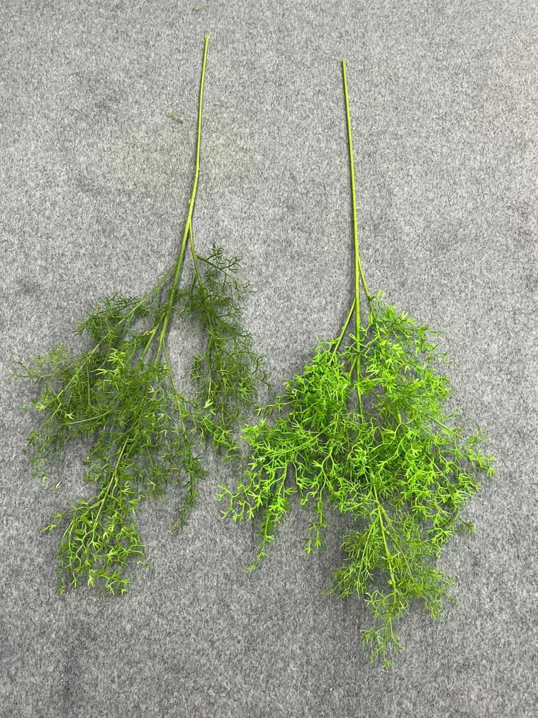 ZBL021 - Leaves & Grass
