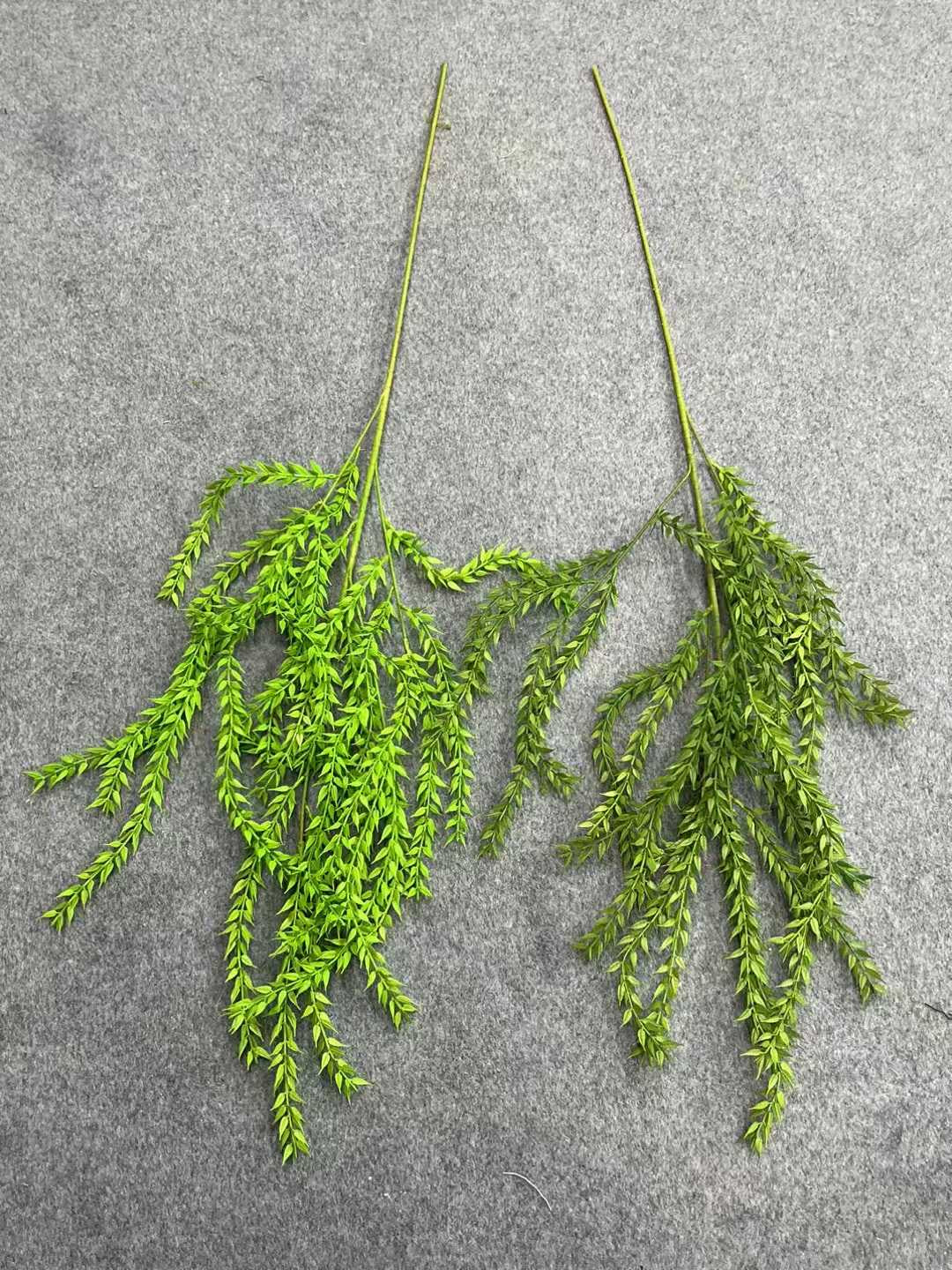 ZBL021 - Leaves & Grass
