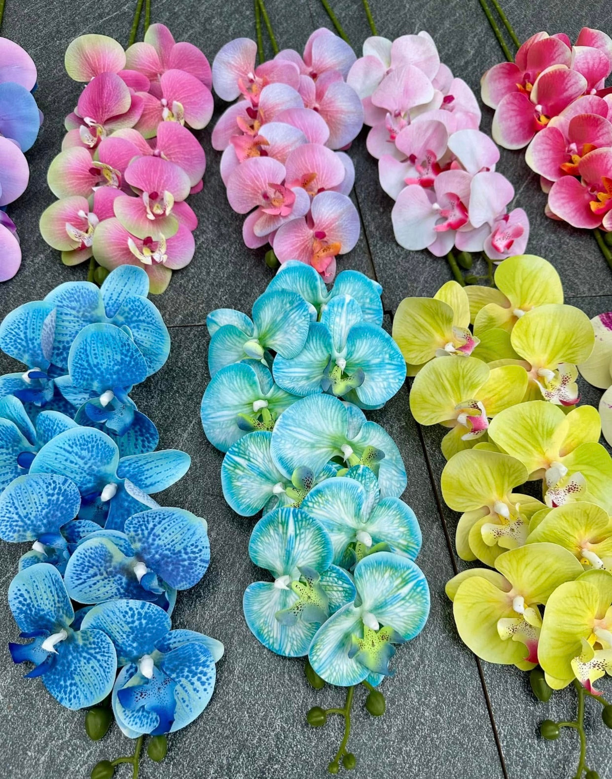 ZBF010 - Zobox Flower