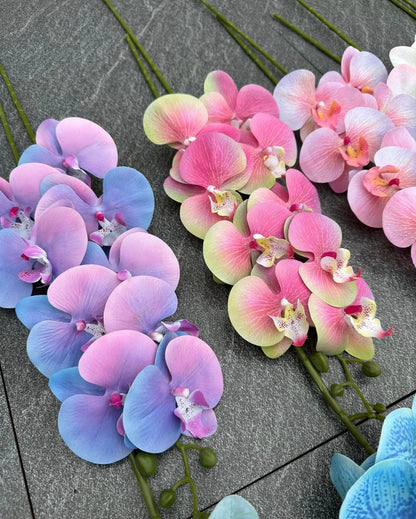 ZBF010 - Zobox Flower