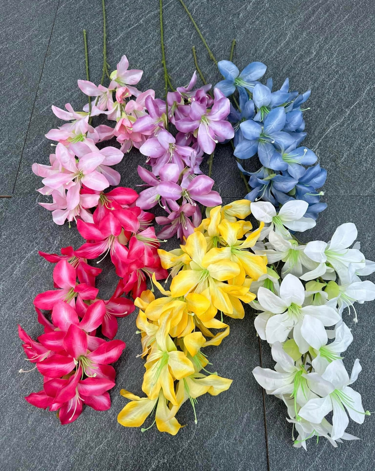 ZBF010 - Zobox Flower