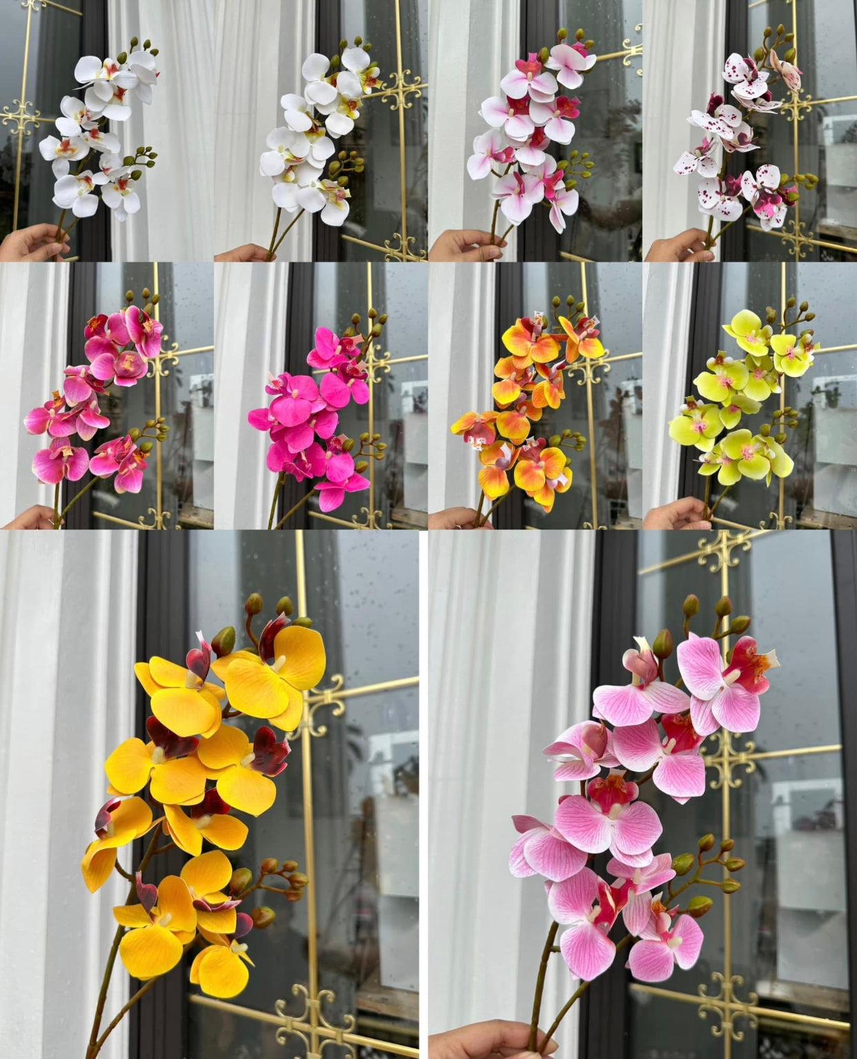 ZBF010 - Zobox Flower