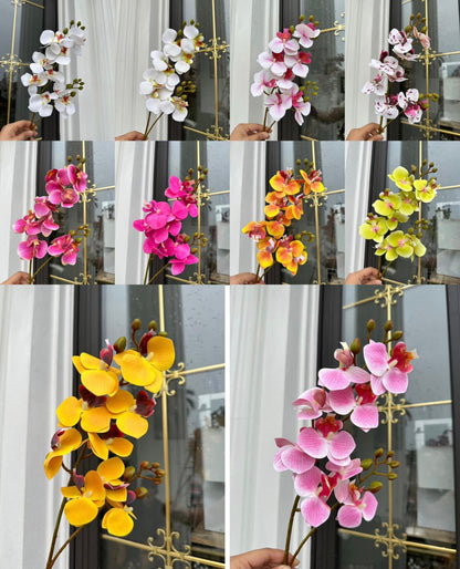 ZBF010 - Zobox Flower