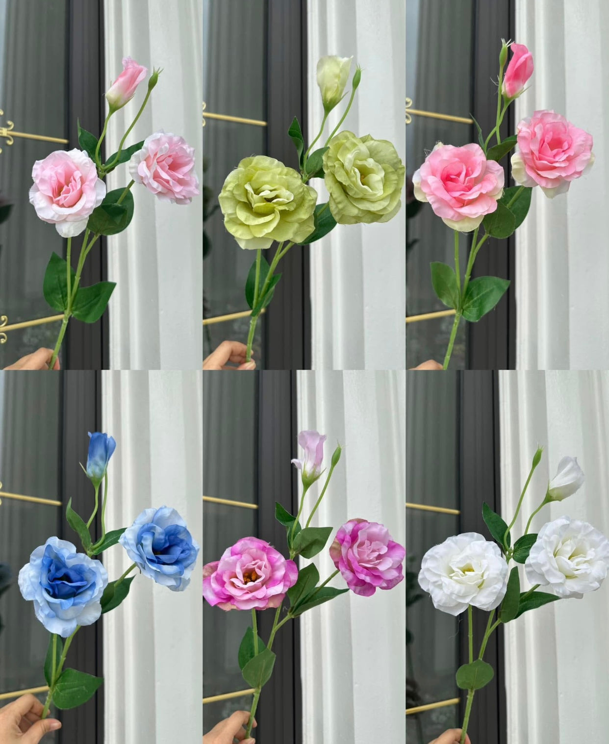 ZBF010 - Zobox Flower