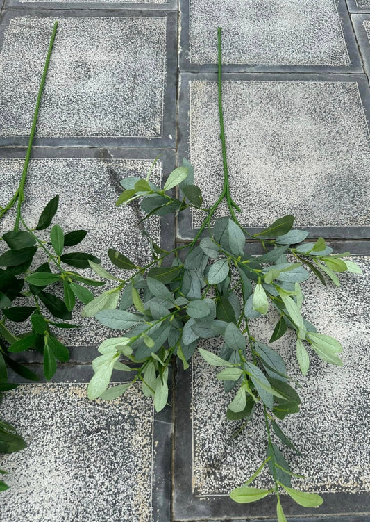 ZBL006 - Leaves & Grass