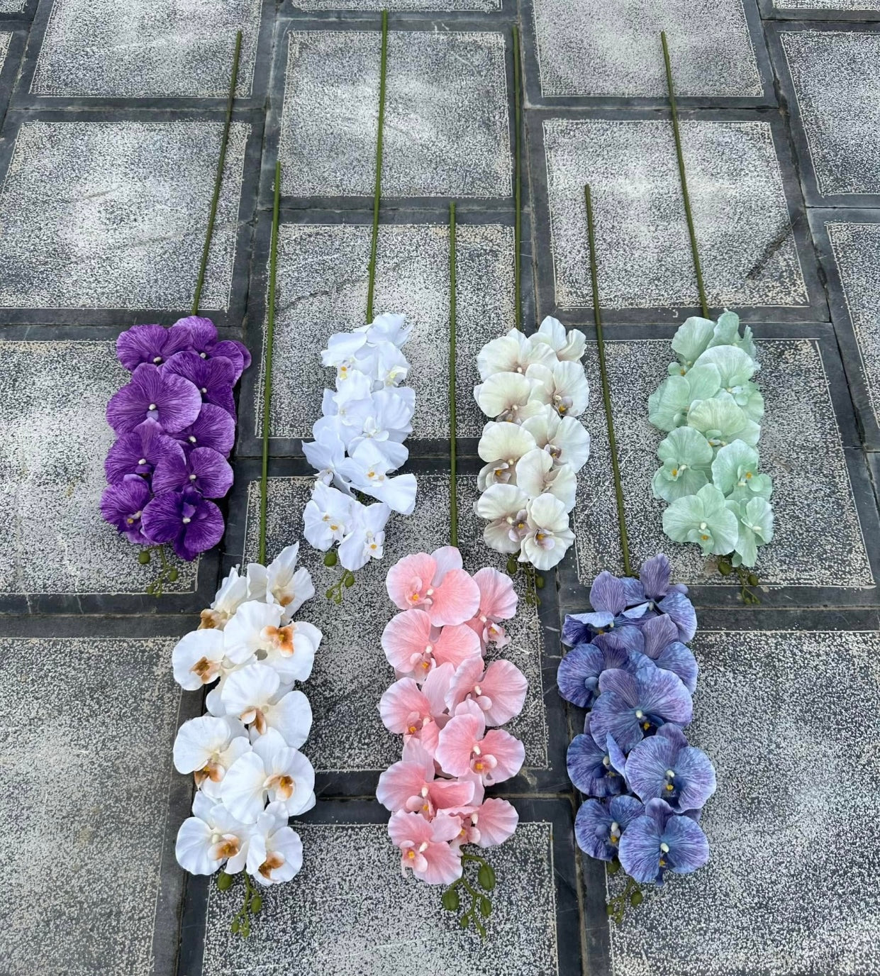 ZBF010 - Zobox Flower