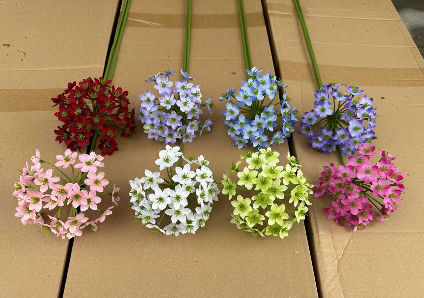 ZBF010 - Zobox Flower