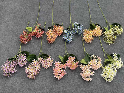 ZBF010 - Zobox Flower